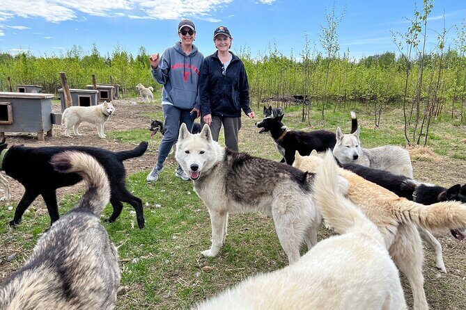 Sled Dog Kennel Tour - FAQ