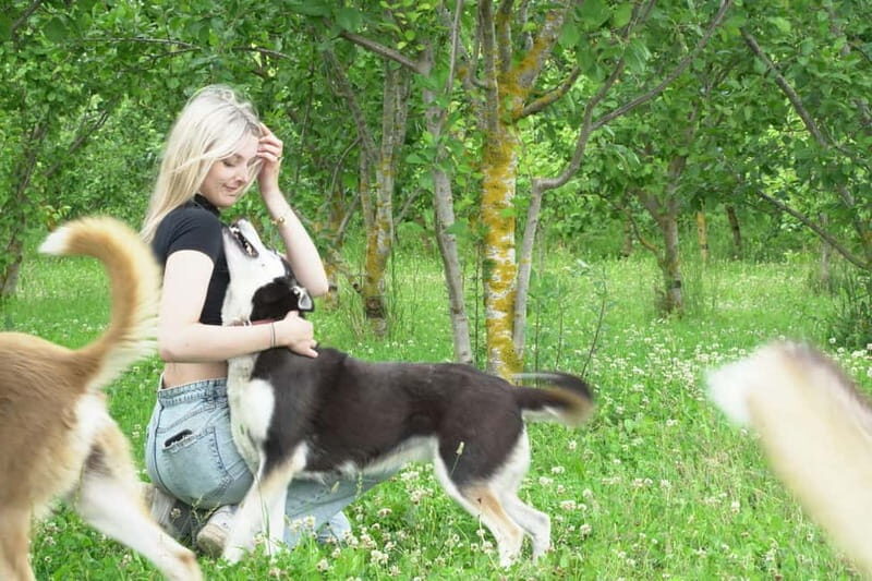 SLED DOGS VISIT & DRIVE ROUND TARTU COUNTRY ESTONIA - Who is this experience best suited for?