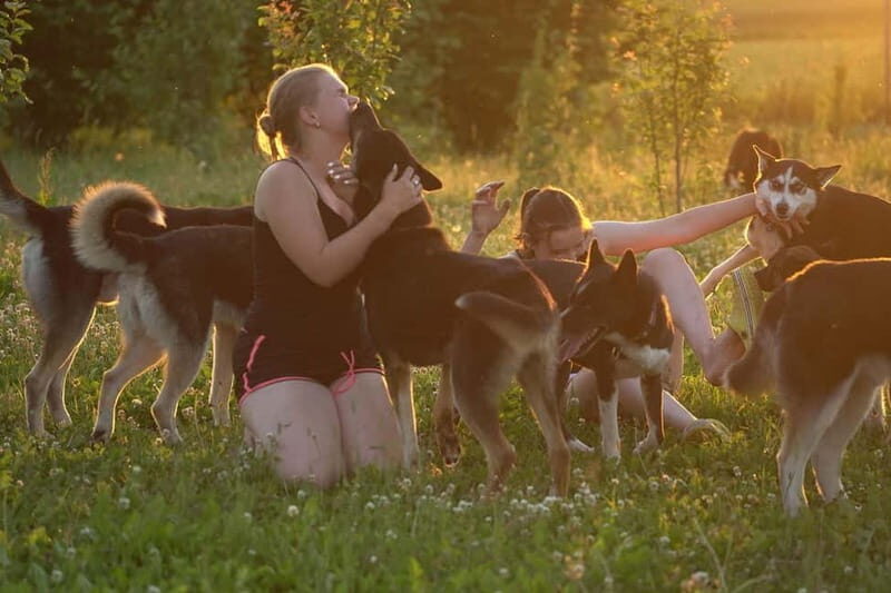 SLED DOGS VISIT & DRIVE ROUND TARTU COUNTRY ESTONIA - FAQs