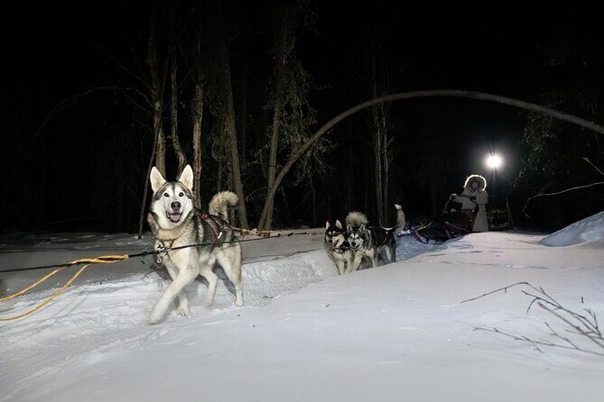Sledding and Homesteading Adventure - FAQ