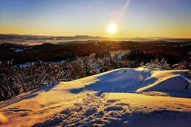 Slegding and tram-tour - Slegding and Tram-Tour in Trondheim: A Genuine Norwegian Winter Experience