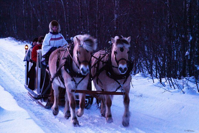 Sleigh Ride w/ snacks - Experience Arctic Farm Life - An In-Depth Look at the Alta Sleigh Ride Experience