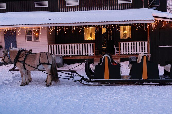Sleigh Ride w/ Tapas Meal - Experience Arctic Farm Life - Authentic, Family-Run Experience with Cultural Depth