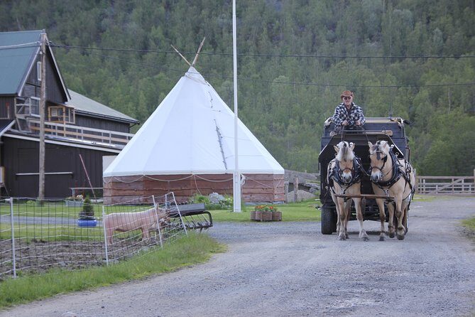 Sleigh Ride w/ Tapas Meal - Experience Arctic Farm Life - Price and Value: Is It Worth It?