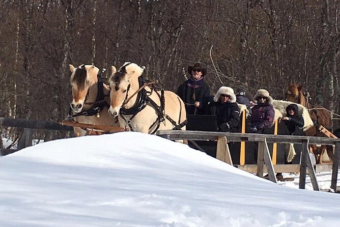 Sleigh Ride w/ Tapas Meal - Experience Arctic Farm Life - FAQ