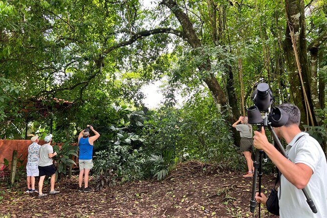 Sloth Discovery Tour in La Fortuna Wildlife - Key Points