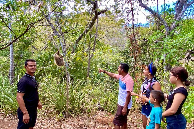 Sloth Sanctuary WildLife Hike - The Sum Up