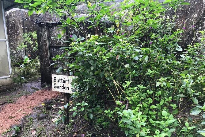 Sloth tour and Wildlife Encounter - Discover Costa Rica’s Wildlife and Waterfalls: The Sloth Tour and Wildlife Encounter