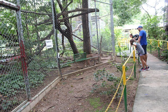 Sloth tour and Wildlife Encounter - Why This Tour Offers Great Value