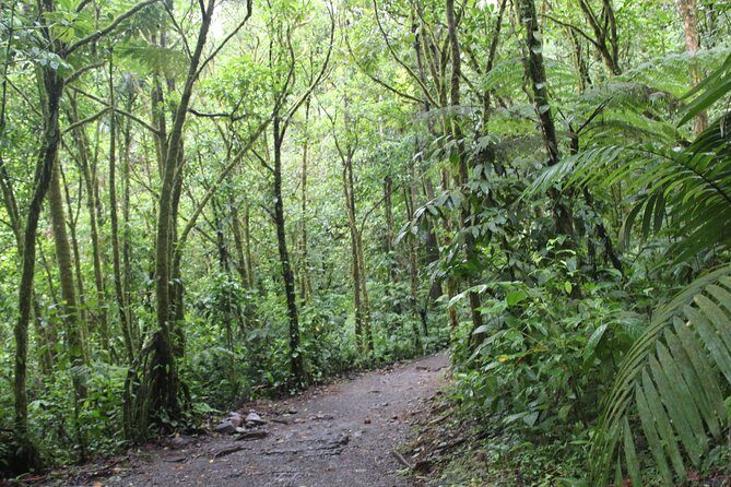 Sloth tour and Wildlife Encounter - Final Thoughts: Is This Tour Right for You?