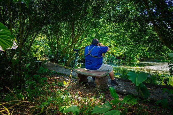 Sloth Tour in La Fortuna and Tortillas Cooking Class - Exploring the Experience in Detail