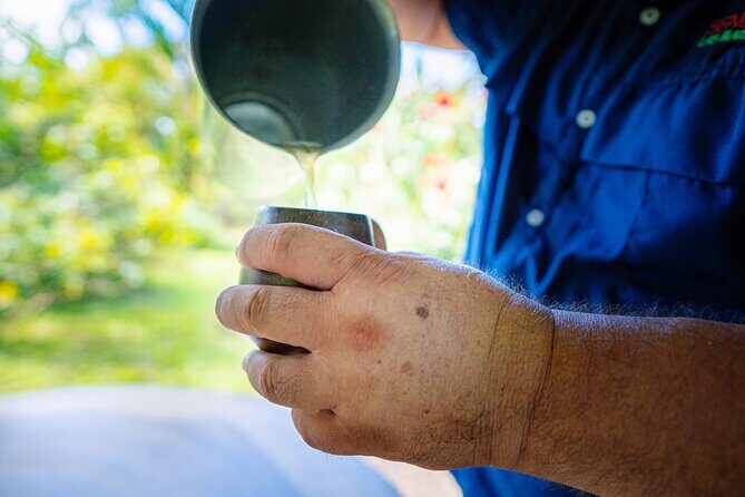 Sloth Tour in La Fortuna and Tortillas Cooking Class - Final Thoughts