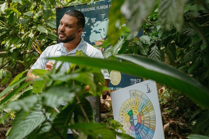 Sloth Tour Manuel Antonio National Park - FAQ: Your Questions Answered