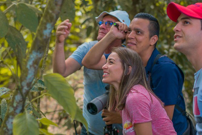 Sloth Watching Tour Experience Costa Rica - The Sum Up