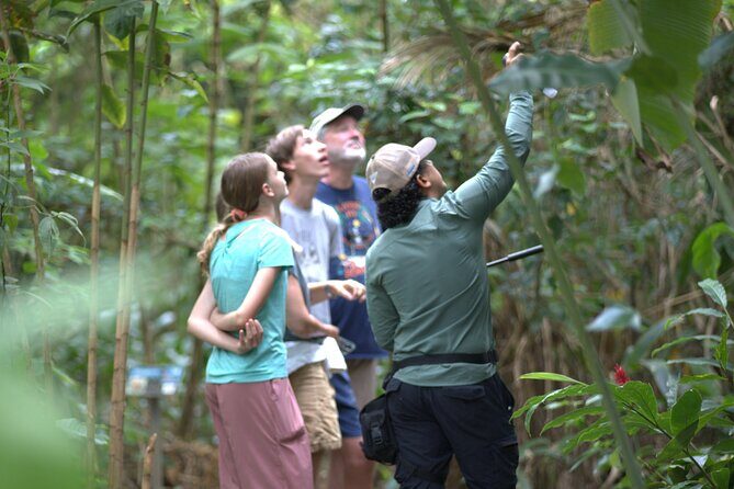 Sloth & Wildlife Nature Walk - Final Thoughts