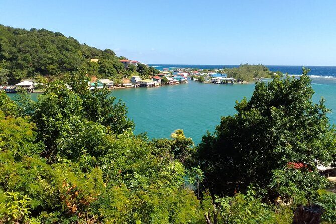 Sloths and Monkeys Roatan Island and Beach Break Private - Key Points