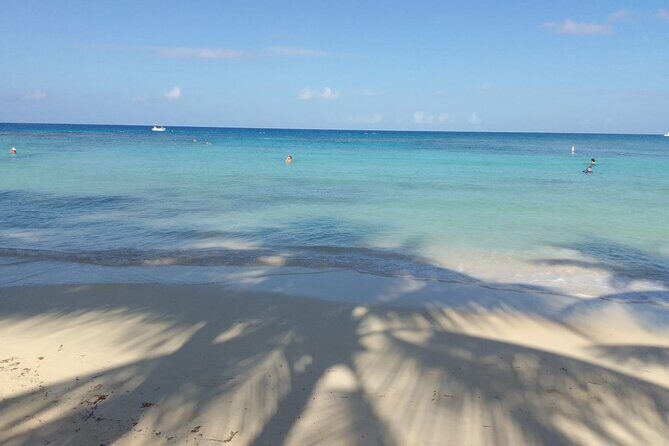 Sloths and Monkeys Roatan Island and Beach Break Private - Authentic Experiences and Practical Details