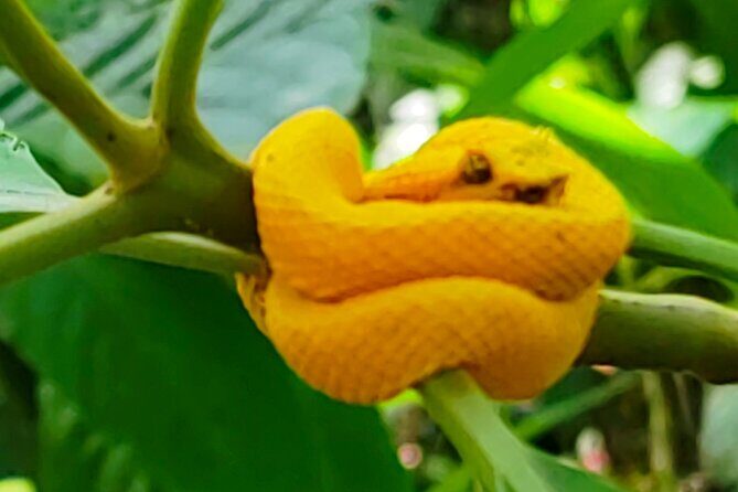 Sloths in the rain forest + safari by the river - FAQ - Your Practical Questions Answered