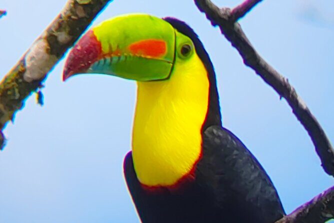 Sloths in the rain forest + safari by the river - Final Thoughts