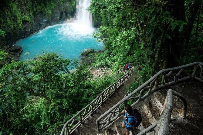 Sloths in their natural habitat & Blue river waterfall - A Closer Look at the Tour Itinerary