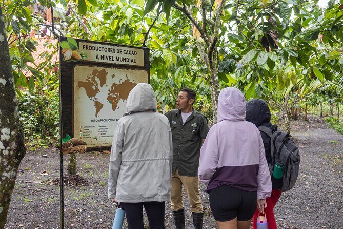 Sloths Observation and Coffee, Chocolate, Sugarcane Experience - A Journey into Costa Rican Wildlife and Flavors