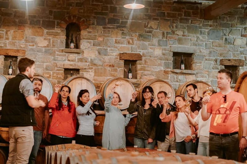 Slovenia Wine Tour in a Family-Owned Cellars - The Role of the Guide & Overall Atmosphere