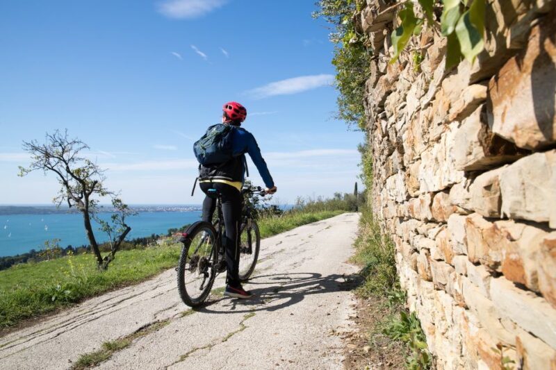 Slovenian coast: Koper, Izola, Piran - Parenzana e-bike - Tasting & Relaxing: The Perfect Finish