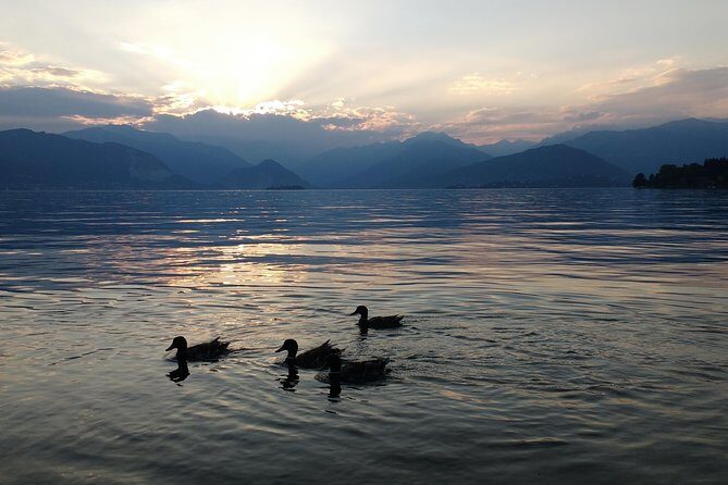 Slow boat tour for small groups with appetizer on Lake Maggiore - Key Points