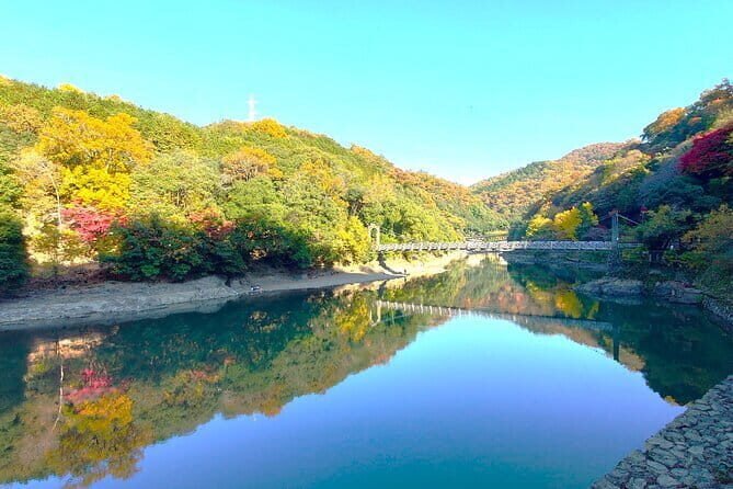 Slow Cycling Tour at Uji's Matcha Green Tea Fields and Heritage - Exploring Uji on a Bicycle: A Practical Overview