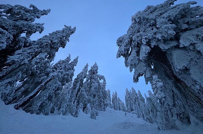 Slow down and enjoy winter on a private snowshoe tour. - Who Should Consider This Tour?