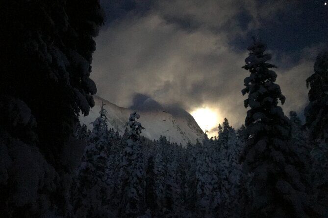 Slow down and enjoy winter on a private snowshoe tour. - The Sum Up