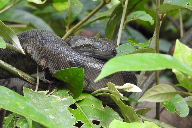 Slow Travel from Quito to Cuyabeno Amazon - Who Is This Tour Best For?