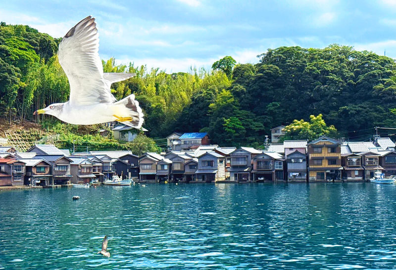 Slow Travel in Kyoto by the Sea: Amanohashidate and Ine no Funaya - Should you book this tour?