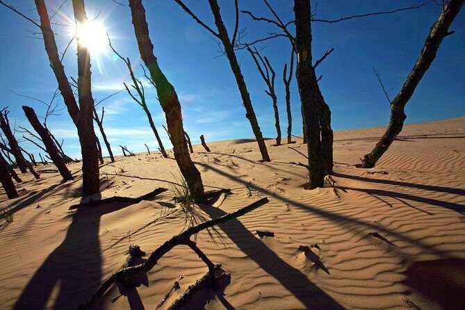 Slowinski National Park Private Tour - Who Should Consider This Tour?