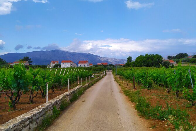 Slurp of Grk Wine Tour - What Past Travelers Say