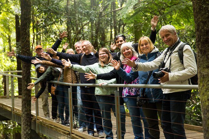 Small All-Inclusive Blue Mountains, Scenic World, Lunch, Cruise - Scenic World Adventures