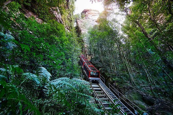 Small All-Inclusive Blue Mountains, Scenic World, Lunch, Cruise - Lunch with a View