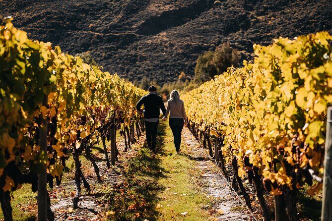 Small Batch Private Wine Experience in Gibbston, Queenstown. - Key Points