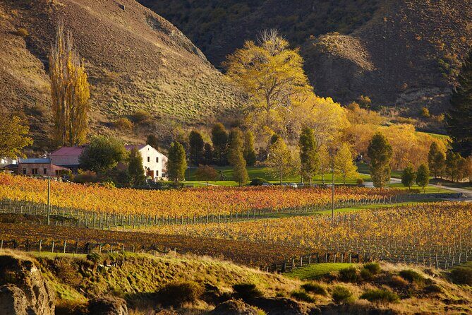 Small Batch Private Wine Experience in Gibbston, Queenstown. - What Travelers Say