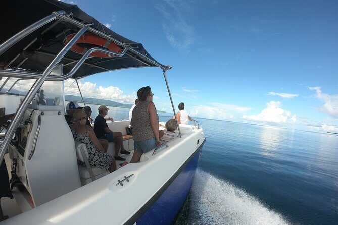 Small Day Cruise (Ilet caret, mangrove, coral reef - Setting Sail in Guadeloupe: An Honest Review