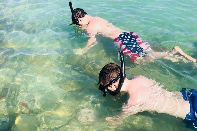 Small Group 2 Hour Dolphin Cruise with Snorkeling to Shell Key - An Honest Look at the Experience