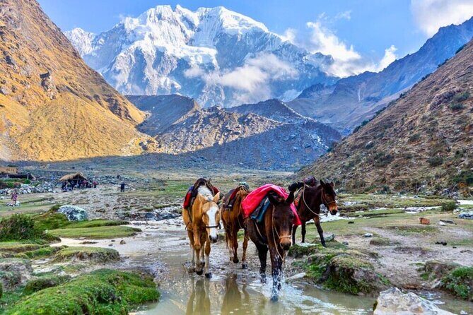 Small Group 5 Days Salkantay and Machu Picchu by Llactapata Tour - The Sum Up: Why Choose This Trek?