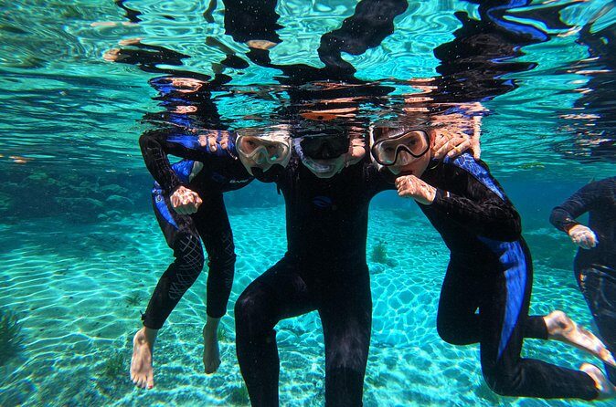 Small Group 6 Passenger Manatee Swim - Who Will Love This Tour?