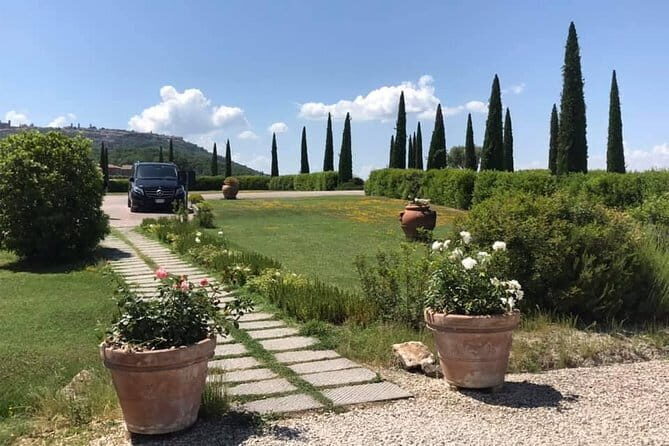 Small group (7) Chianti-side wine tour with Mercedes V class Van - Small group (7) Chianti-side wine tour with Mercedes V class Van