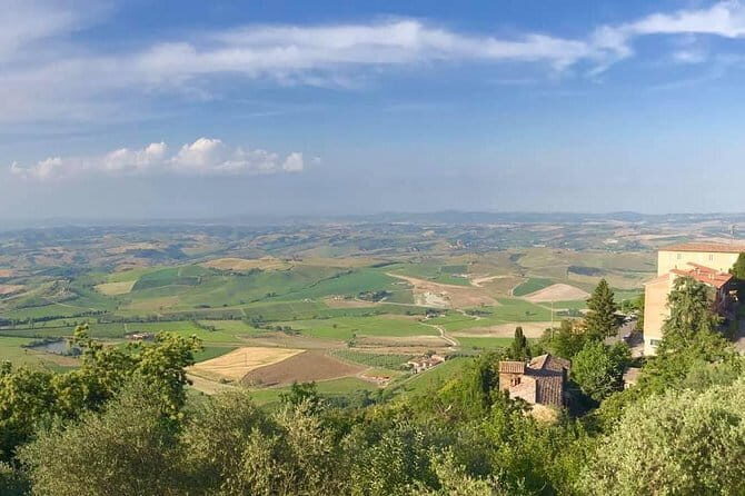 Small group (7) Chianti-side wine tour with Mercedes V class Van - Key Points