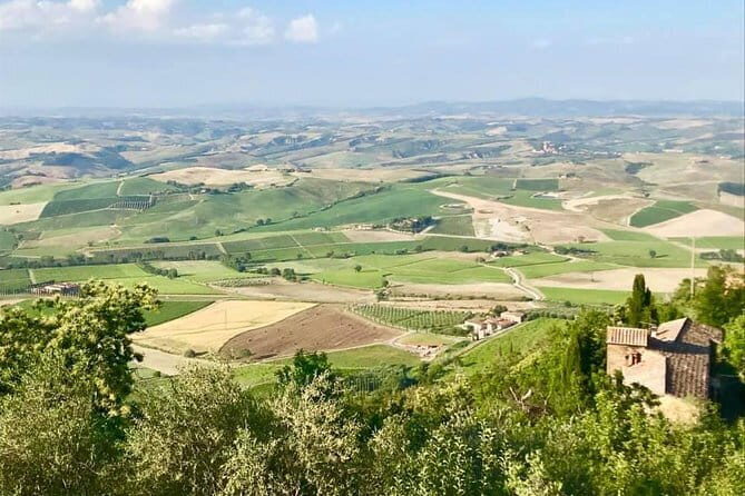 Small group (7) Chianti-side wine tour with Mercedes V class Van - Why choose this tour?