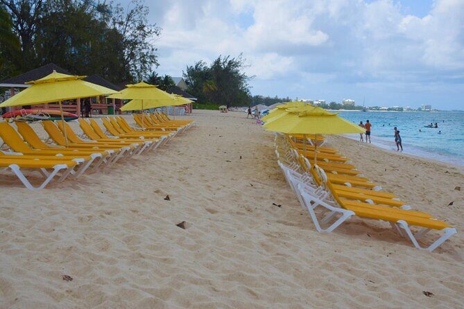 Small Group 7 Mile Beach Stingray City and Coral Gardens Tour - Analyzing the Value