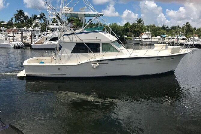 Small Group 7 Mile Beach Stingray City and Coral Gardens Tour - Who Would Love This Tour?