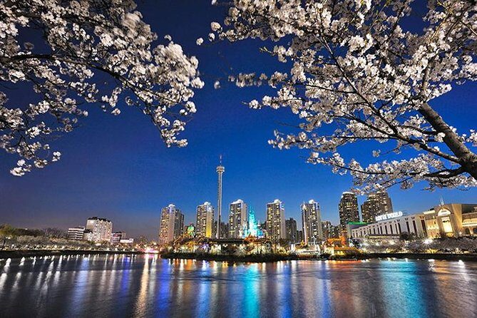 Small Group 7D Korea package Tour with Seoul Gyeongju Busan Jeju - Final Thoughts