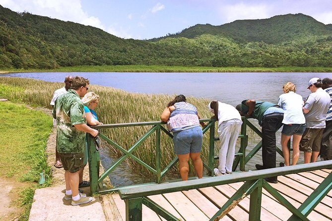 Small-Group Adventure Trek in Grand Etang National Park - Exploring Grenada’s Natural Heartland